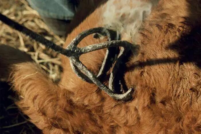 注冊(cè)國(guó)內(nèi)商標(biāo)